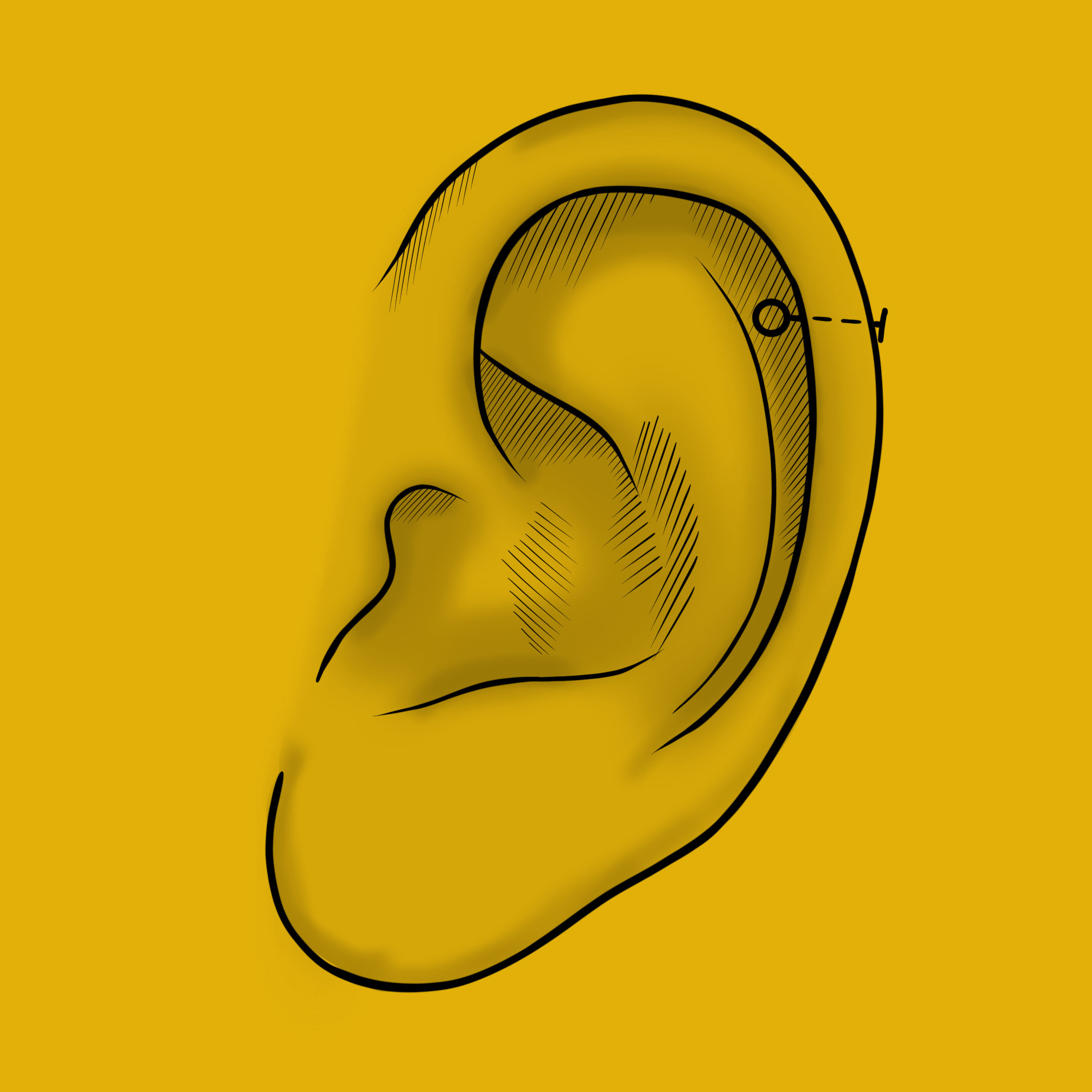 przek-ucie-helix-stoneheads-tattoo-wroc-aw